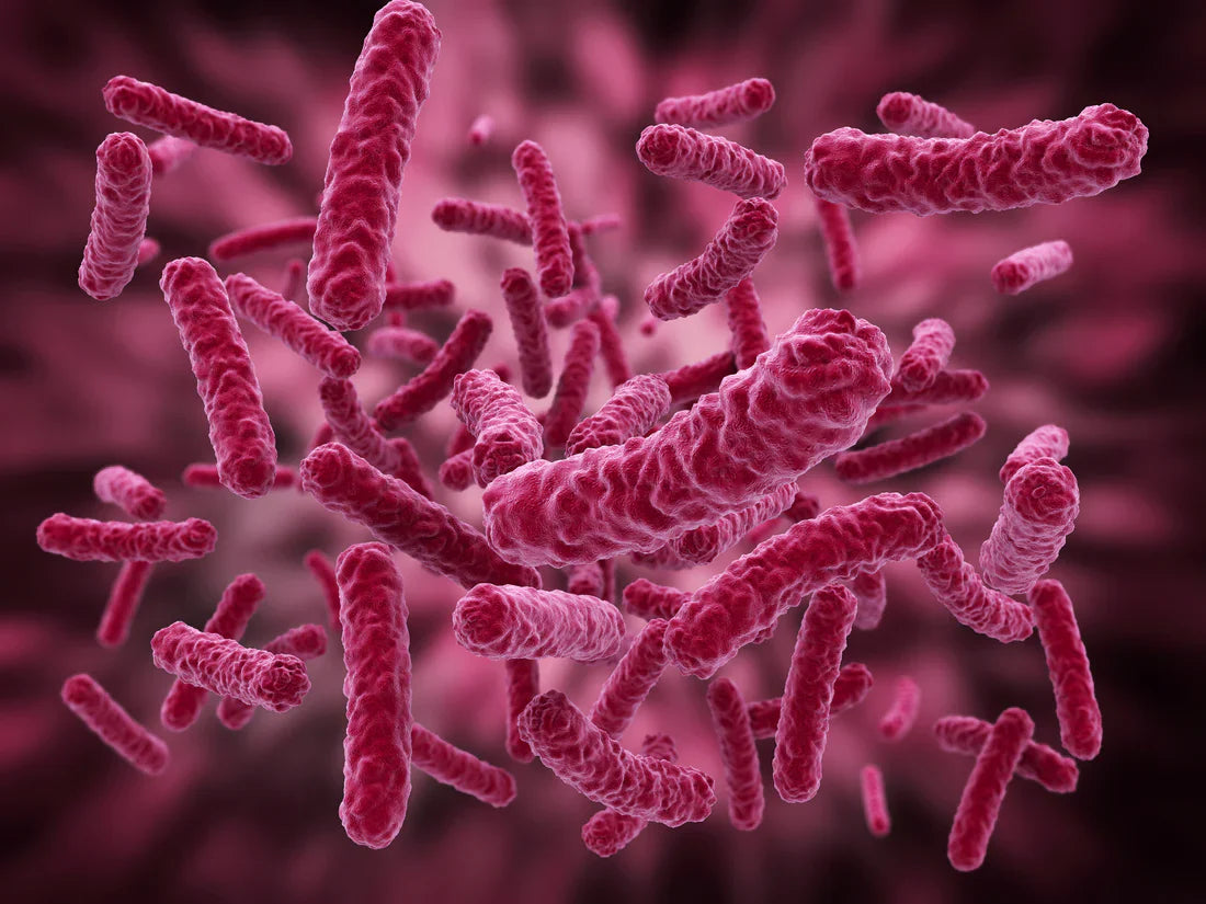 Probiotics - Because your gut feeling counts