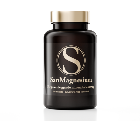 SanMagnesium mineral powder x 1 bottle