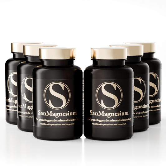 SanMagnesium mineral powder x 6 bottle